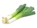Fresh Leek 5kg/CTN | 新鲜 大葱 整箱 5kg