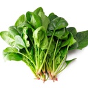 Fresh Poi Choi (Spinach) 1kg | 新鲜 菠菜 1kg