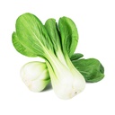Fresh Shanghai Pakchoi 1kg | 新鲜 上海青 1kg  7kg/CTN