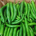Fresh Shishito Green Chili 1kg | 新鲜 青尖椒 1kg