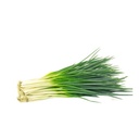Fresh Spring Onion (Scallion) 1kpl | 新鲜 香葱 1把