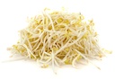 Fresh green Bean Sprouts 2.5kg/PKT | 新鲜 绿豆芽 2.5kg/包