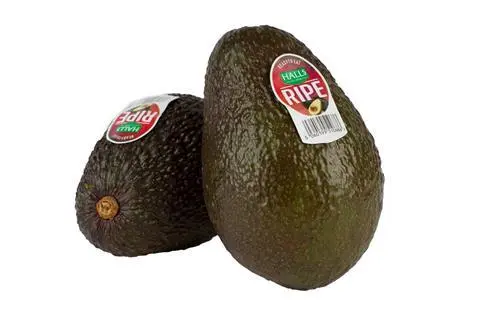Fresh Halls Ripe AVOCADO (HALLS Box) 22PCS 4kg/CTN | 新鲜 Halls Ripe 牛油果 (HALLS Box) 22颗 4kg/箱